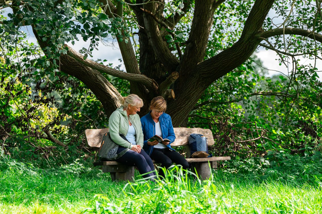 LR-Nivon-Drenthepad-146