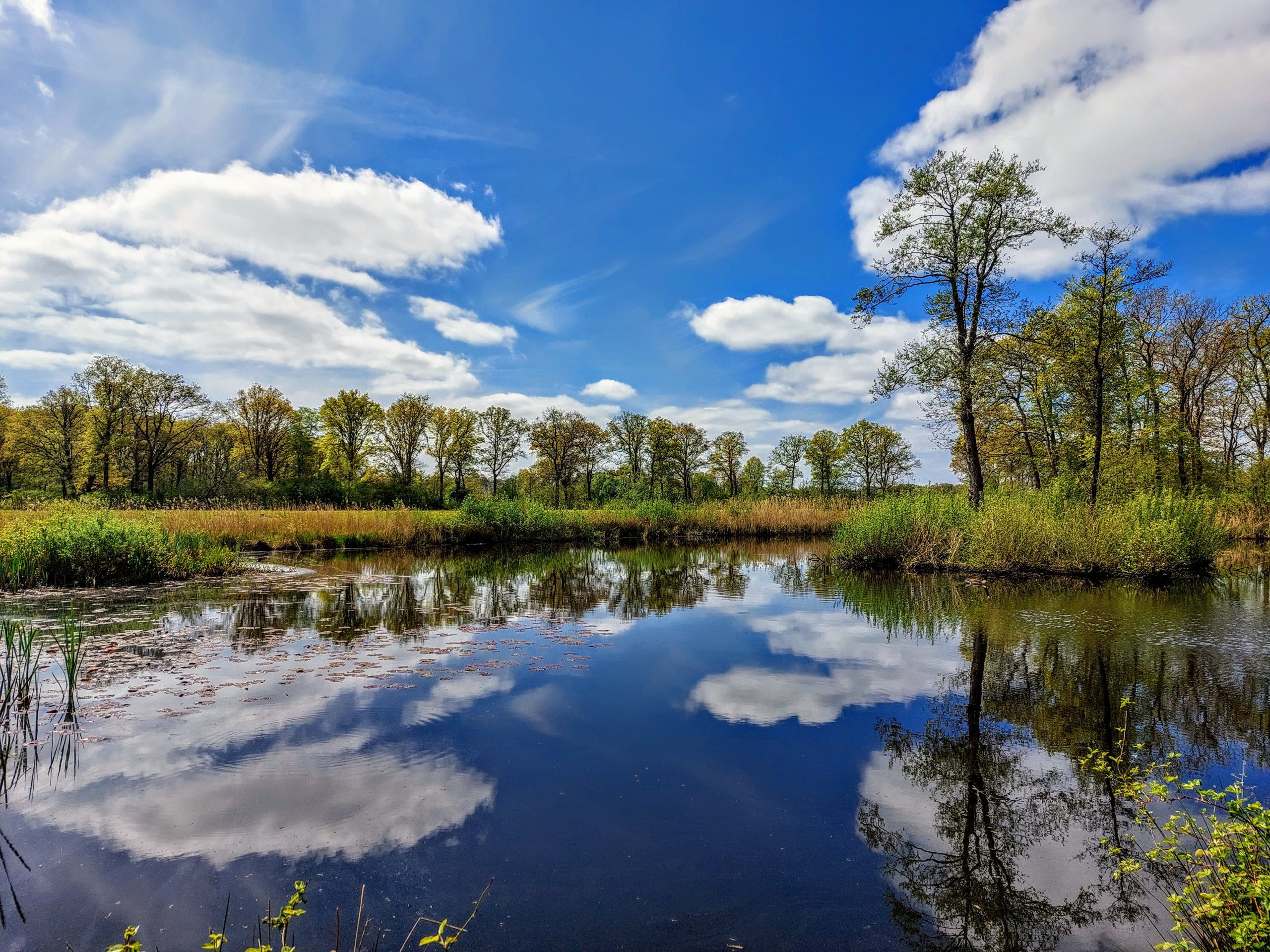 20220504_122213 Pingoruïne Vagvuur - Nietap © LH Schepers