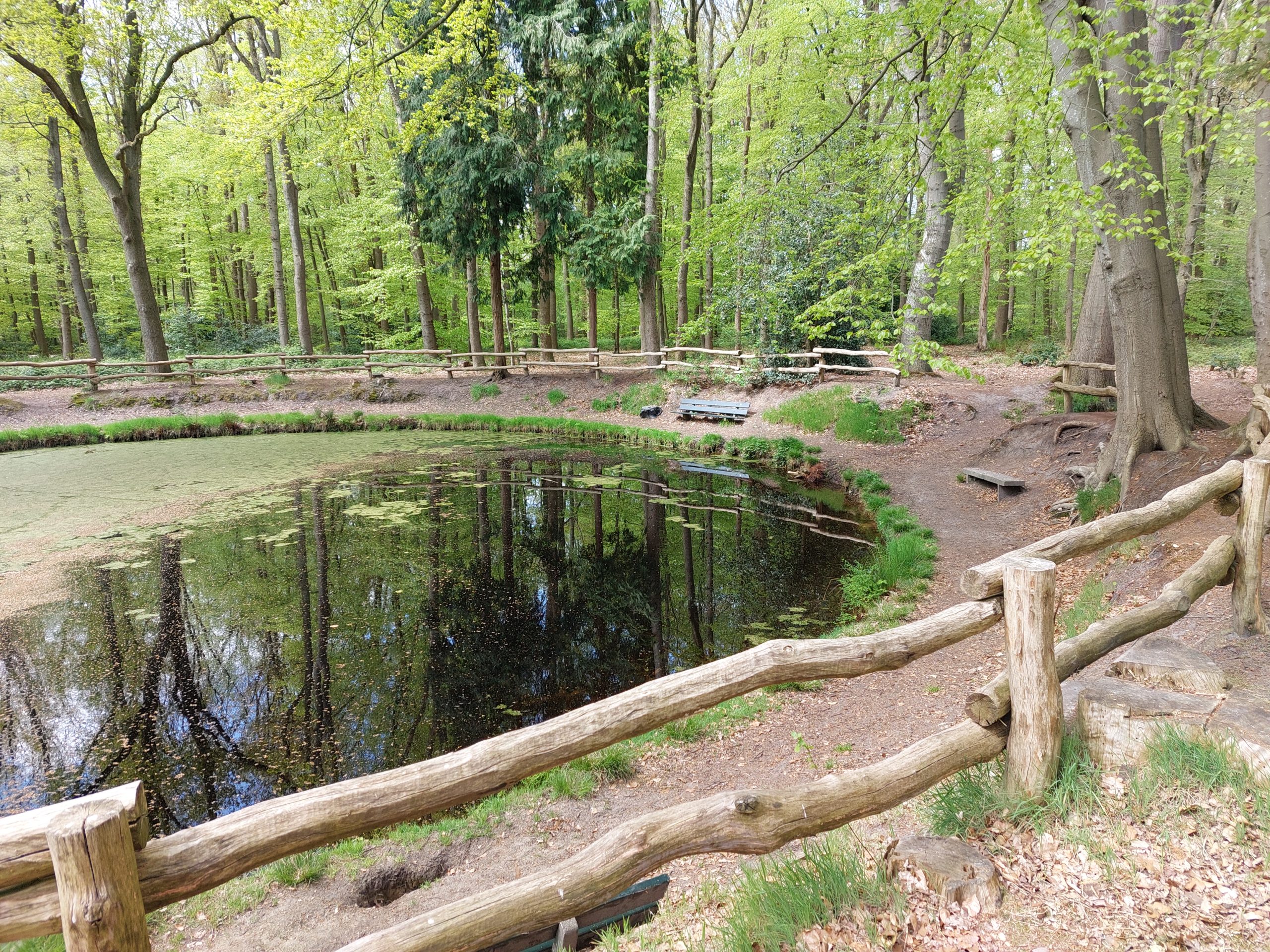 20220504_124907 Ronde Vijver _ Natuurschoon - Nietap © LH Schepers