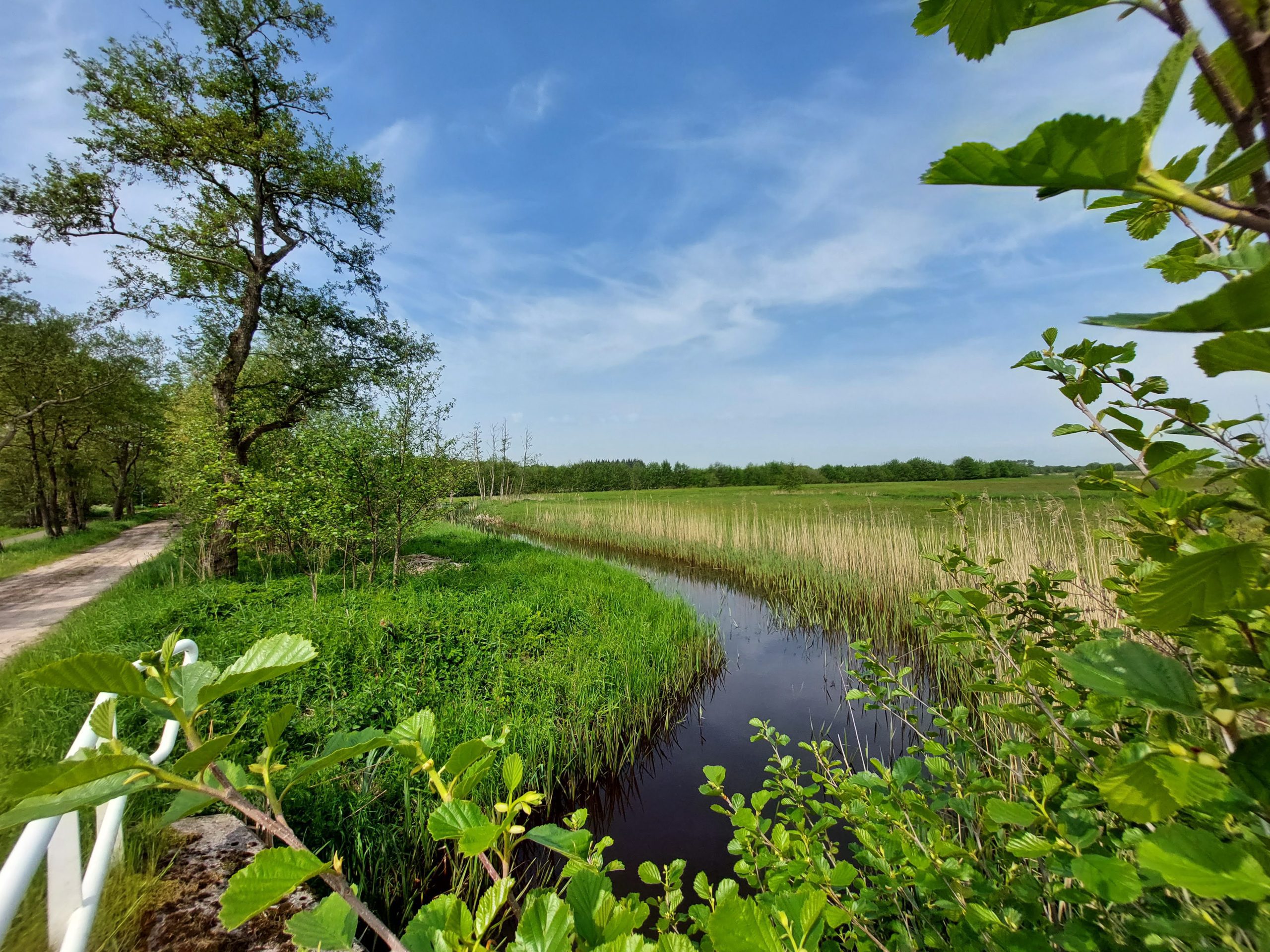 20230514_112829 Slokkert bij Een  © LH Schepers