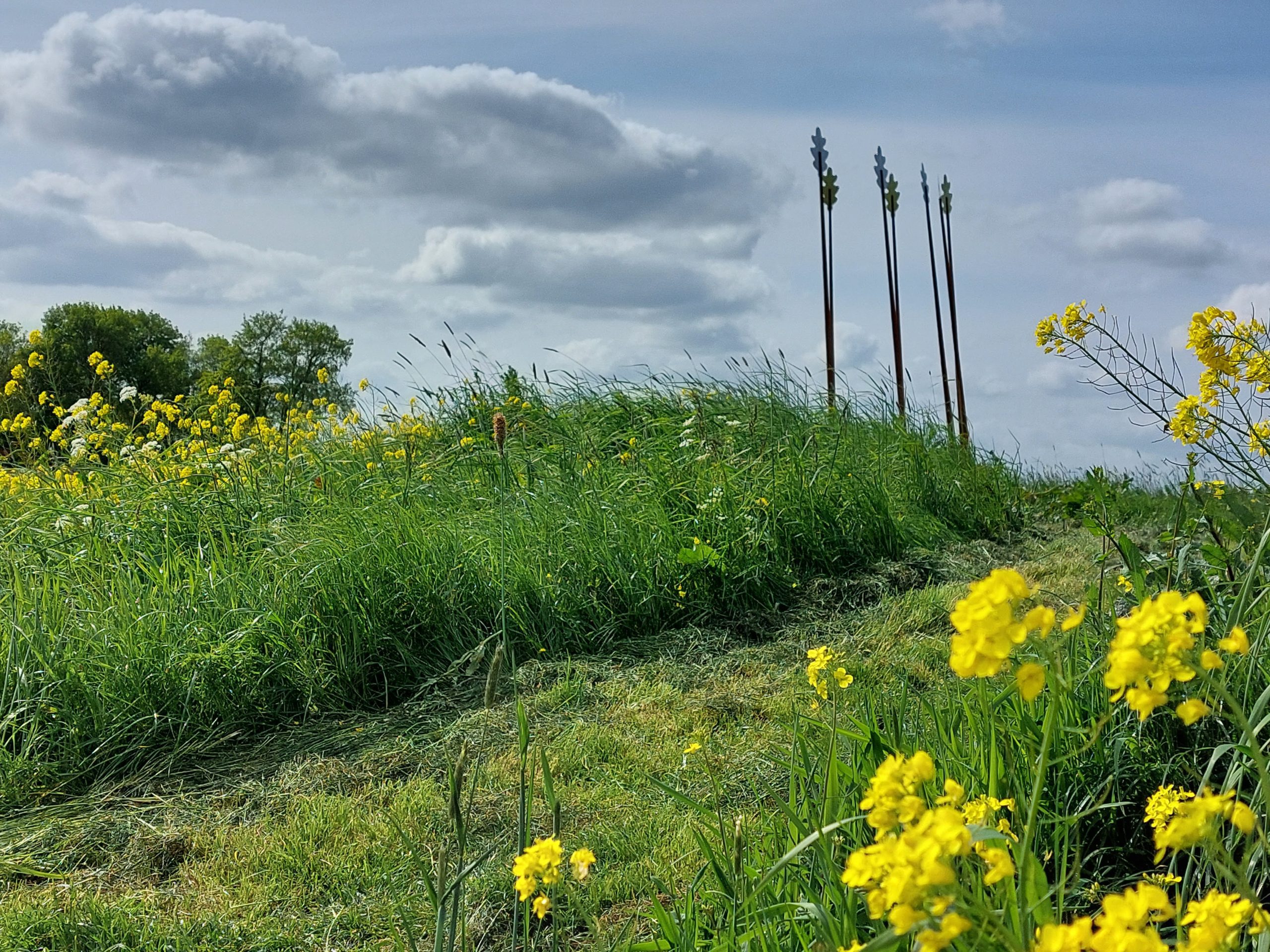 20230518_161917 Oerwold - Onlanden © LH Schepers