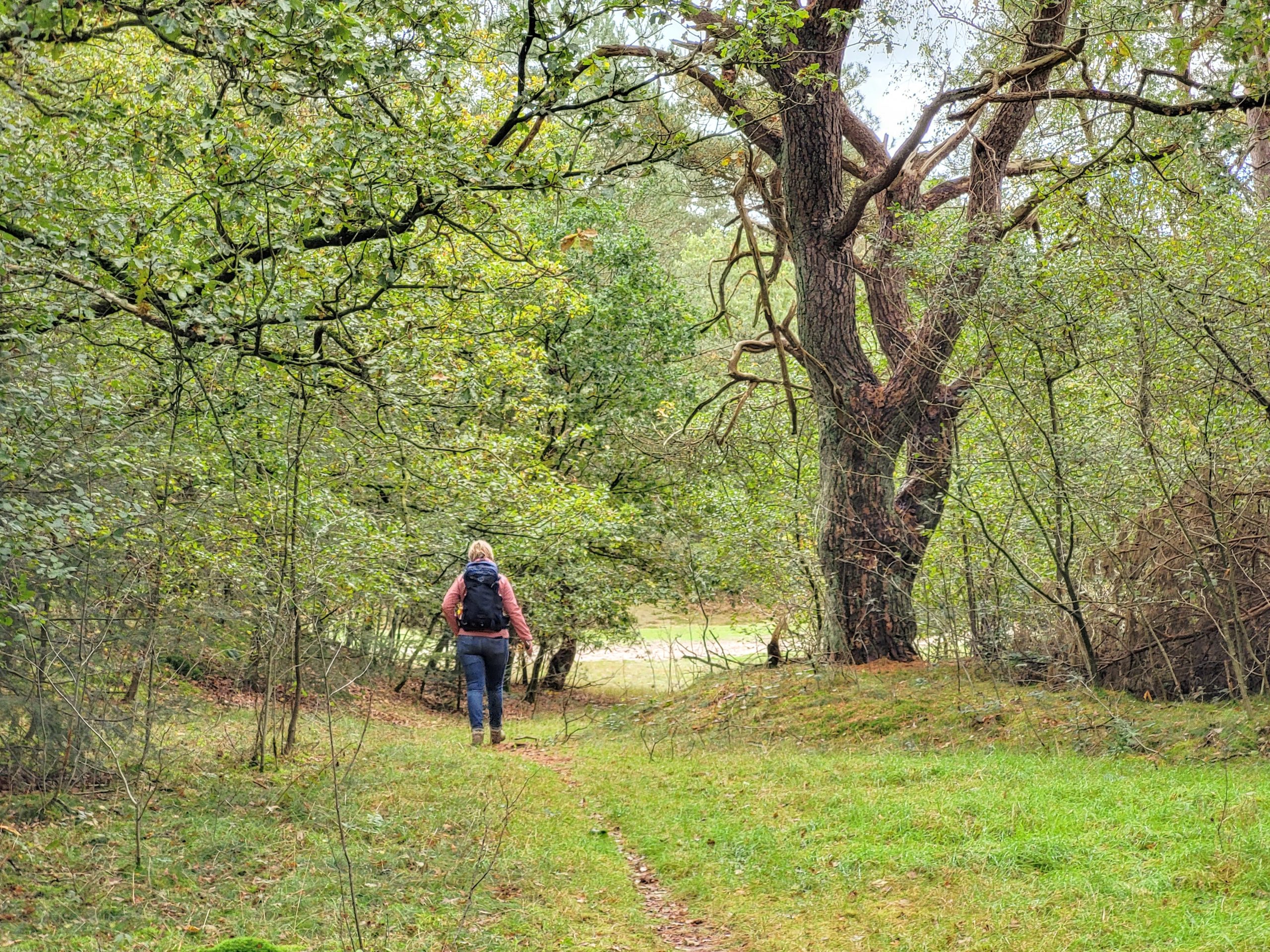 20231022_135128 Kniphorstbosch © LH Schepers