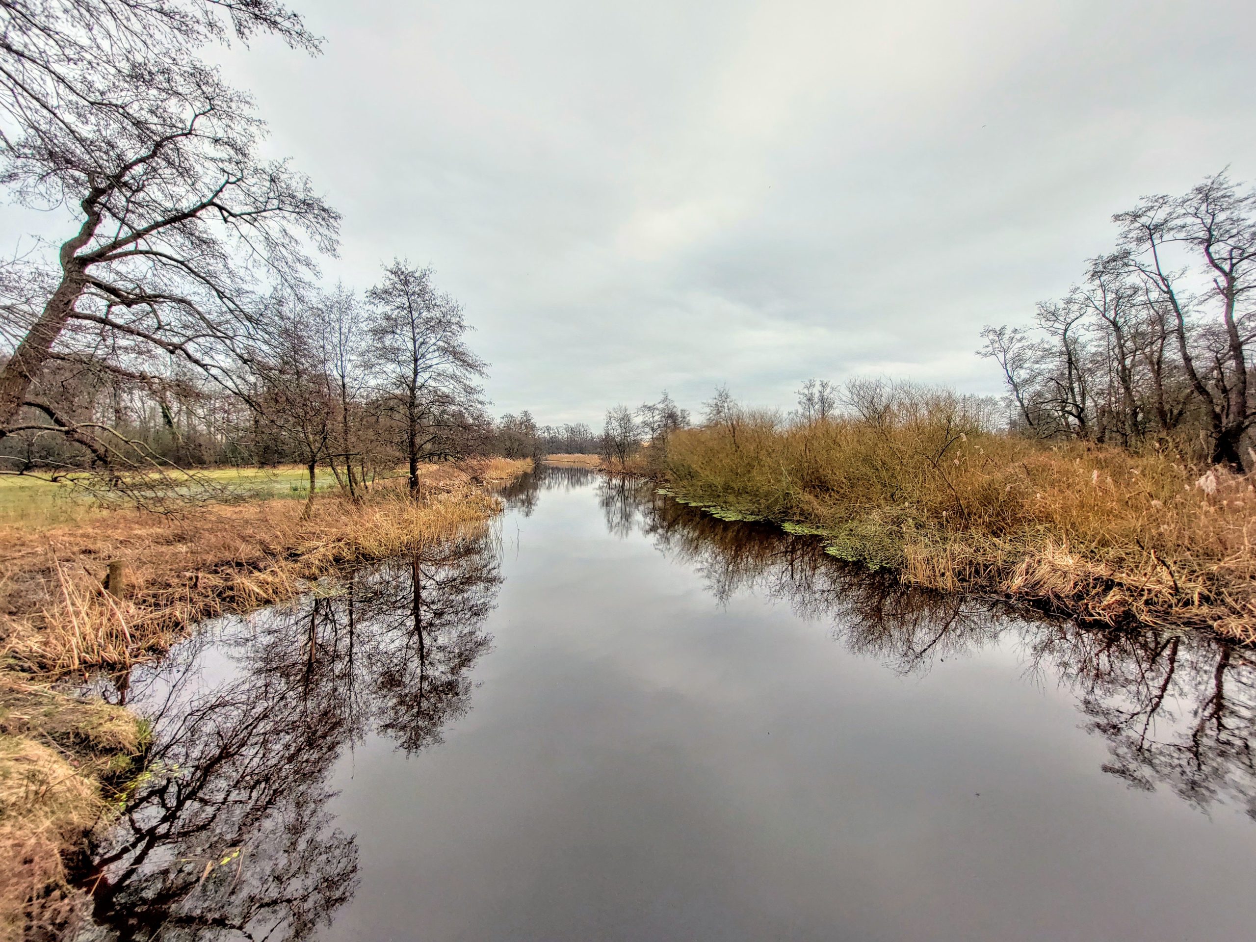20240129_125044 Drentsche Aa bij Glimmen © LH Schepers