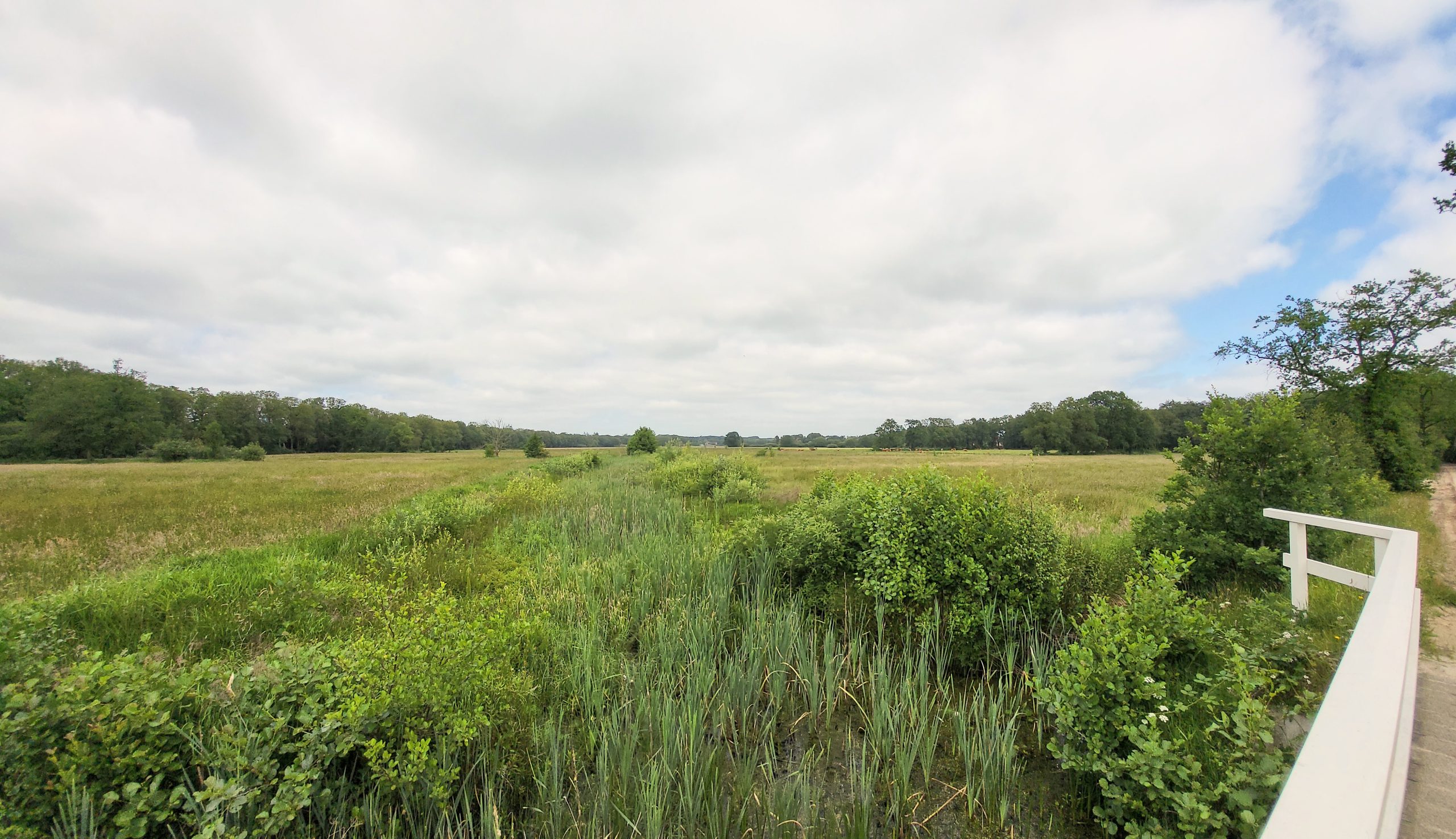 20240602_145607 Doorbraakdal 'Besloten venen' © LH Schepers