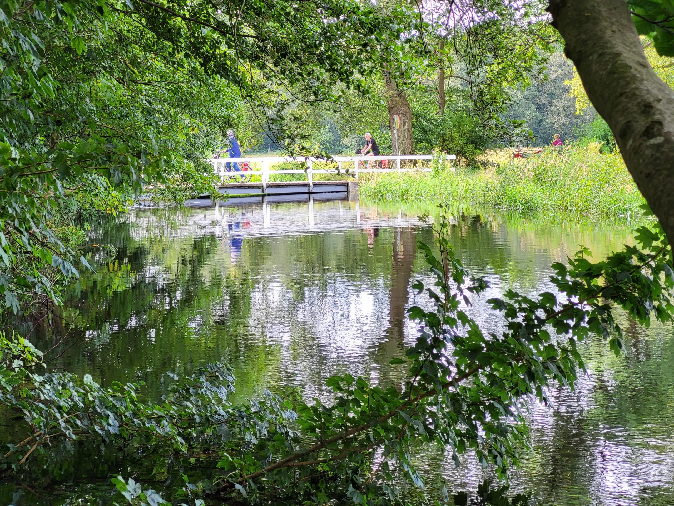20240716_120345 Hoogwater in Schipborgsche Diep © LH Schepers