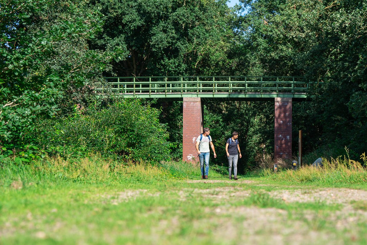 LR-Nivon-Drenthepad-119