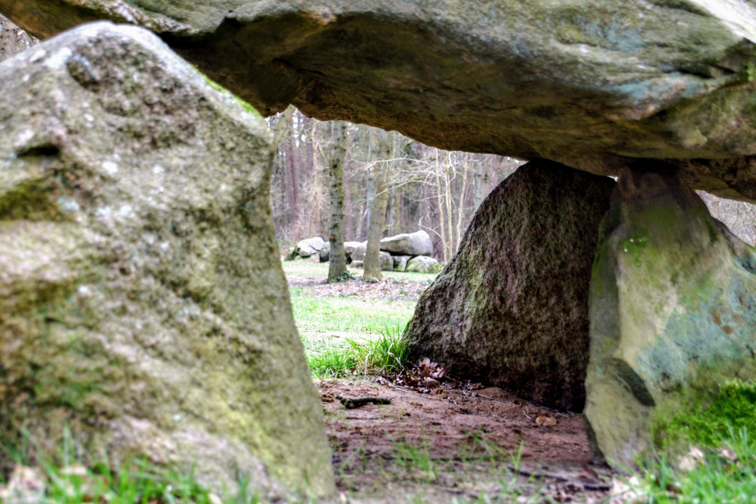 200215-141733-DSC05764-Bronneger-D23-en-daarachter-D25-©-LH-Schepers