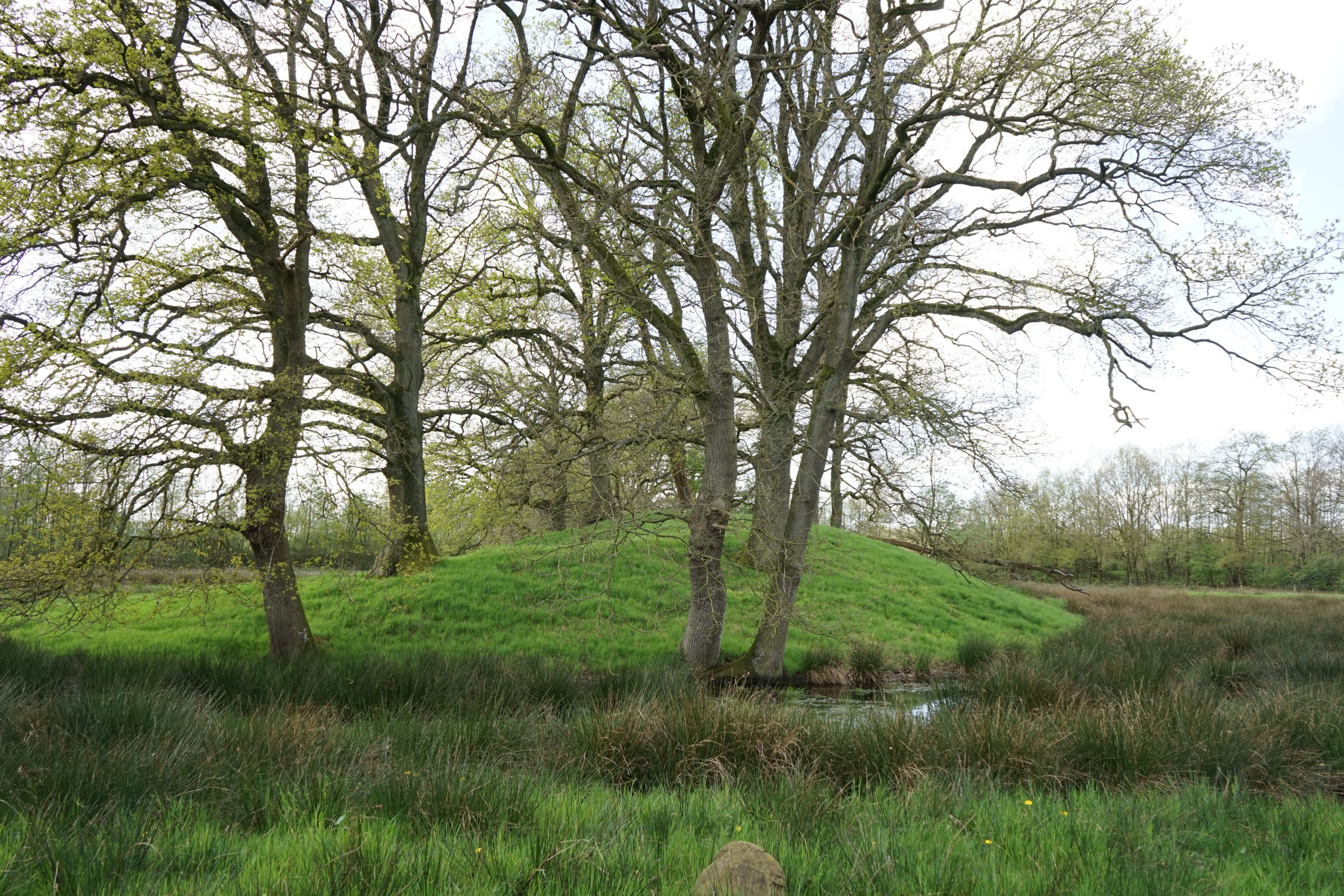 20201404_1331 DSC05882 Mottekasteel Gees © LH Schepers