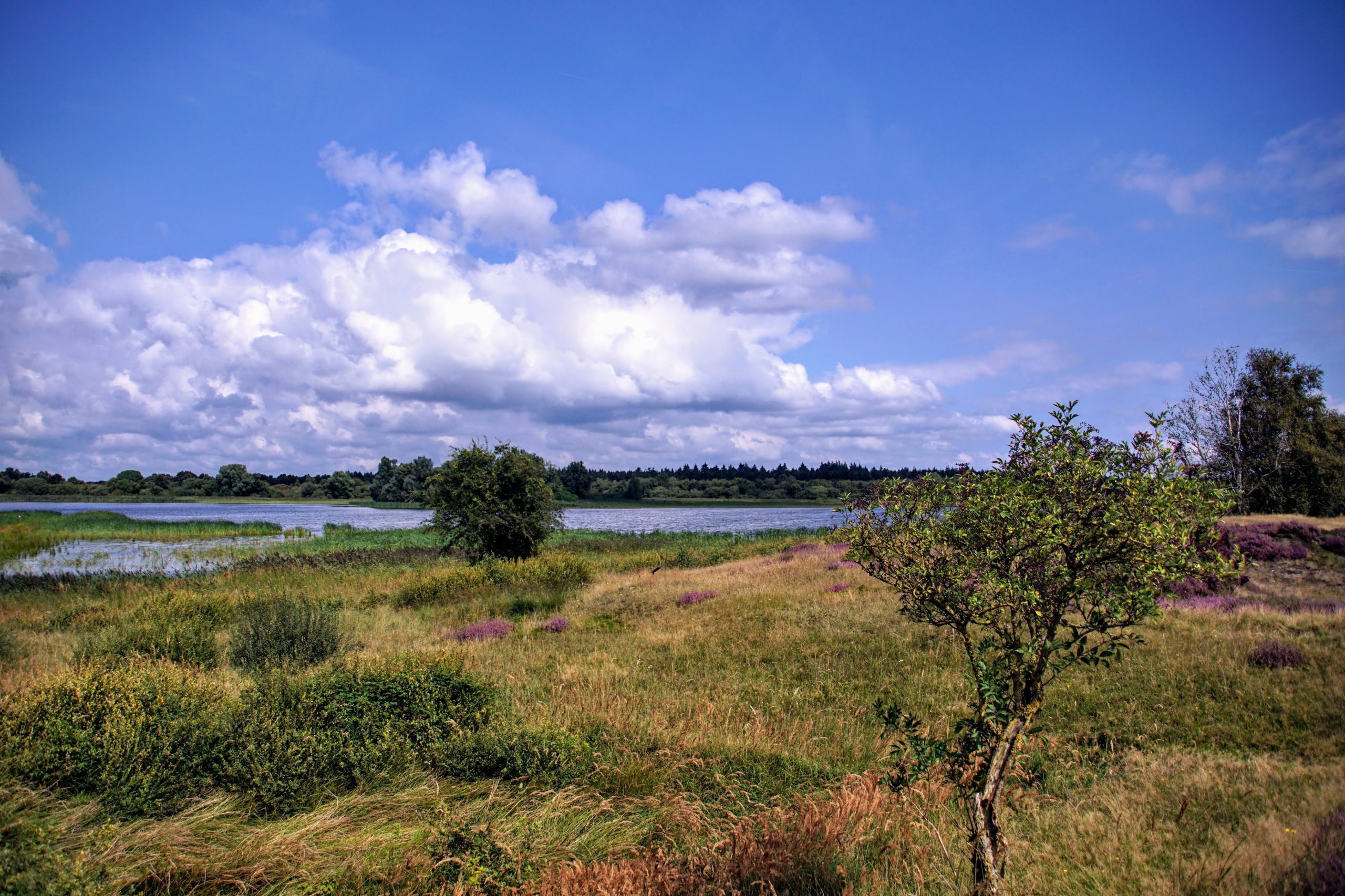 20210830_1125 DSC00477 Diependal © LH Schepers