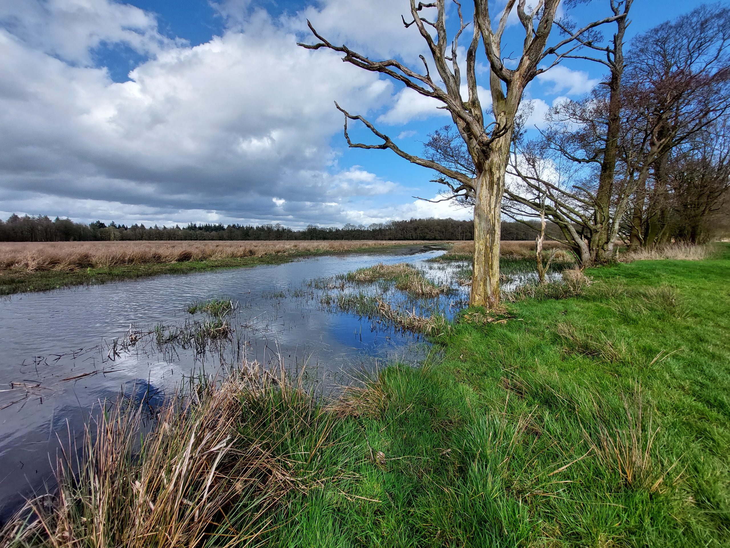 20230324 08090 DSL108901 Geeserstroom © LH Schepers