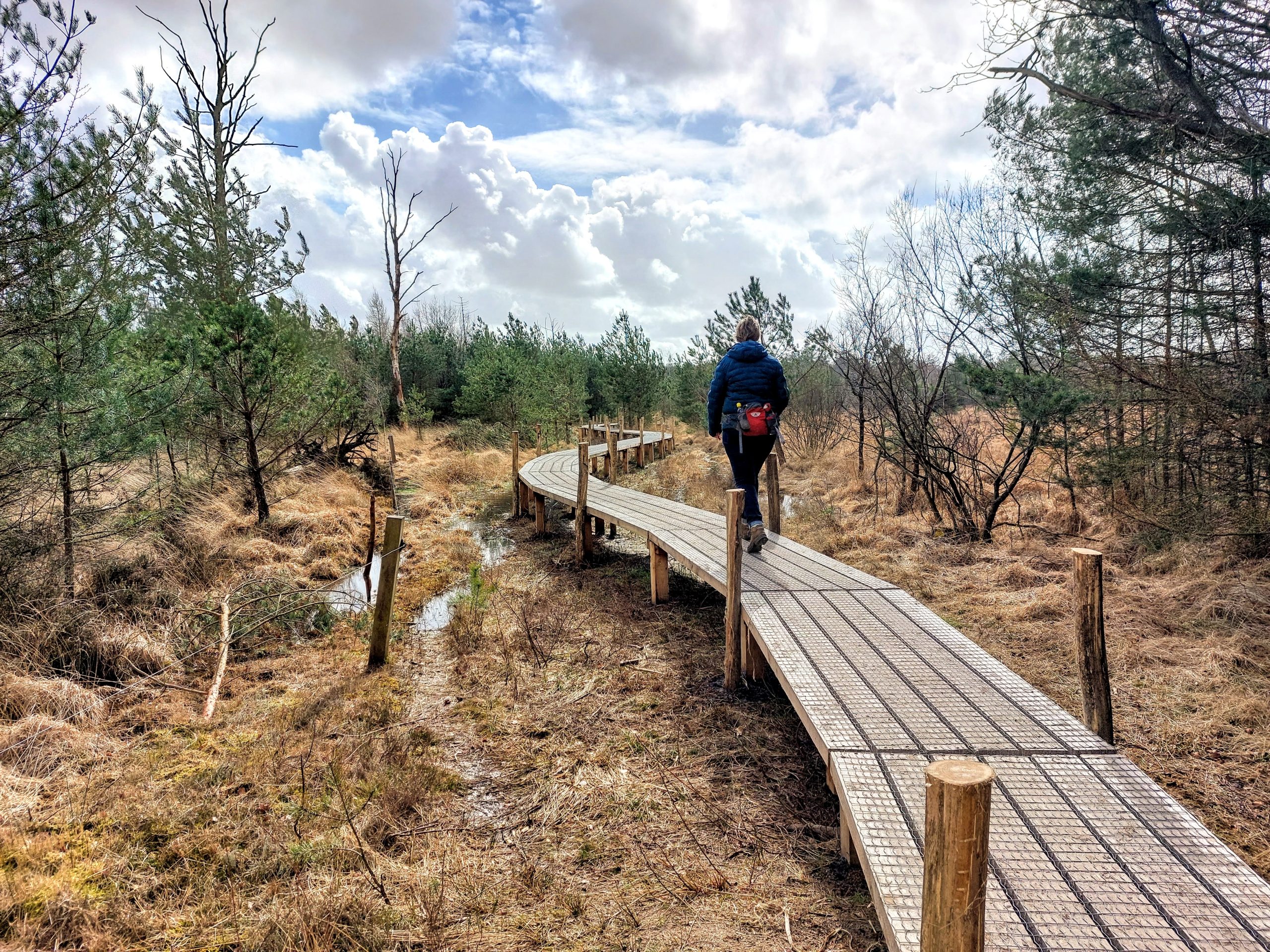 20230330_150649-Dwingelderveld-©-LH-Schepers