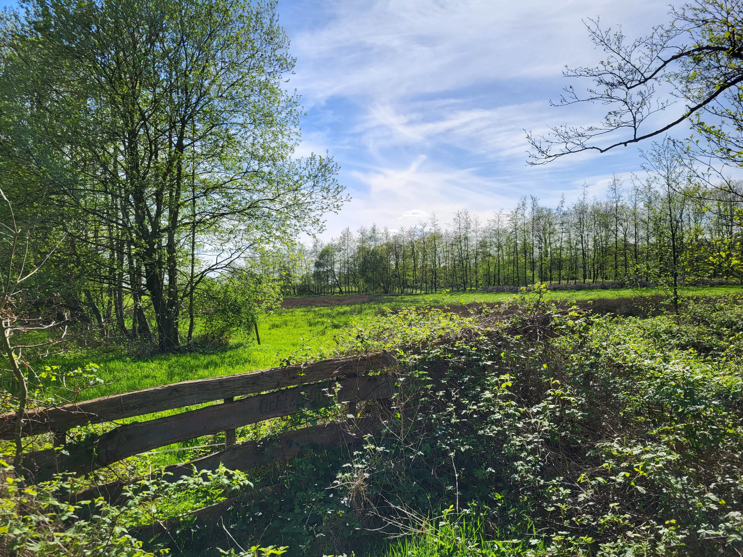 20240414_162033 DSC12298 Mantinger weiden © LH Schepers