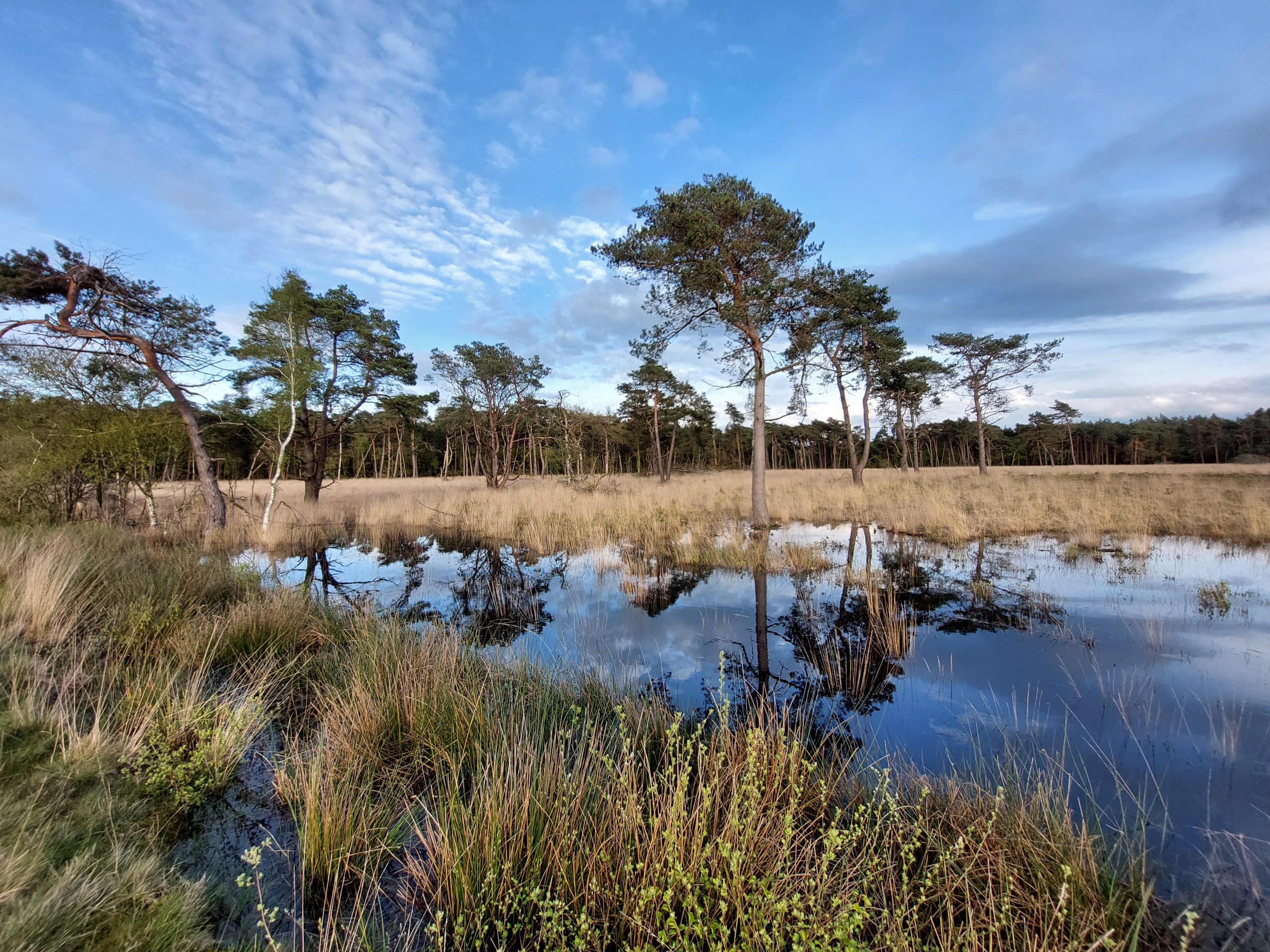 20240426_192957 Wapserveld © LH Schepers