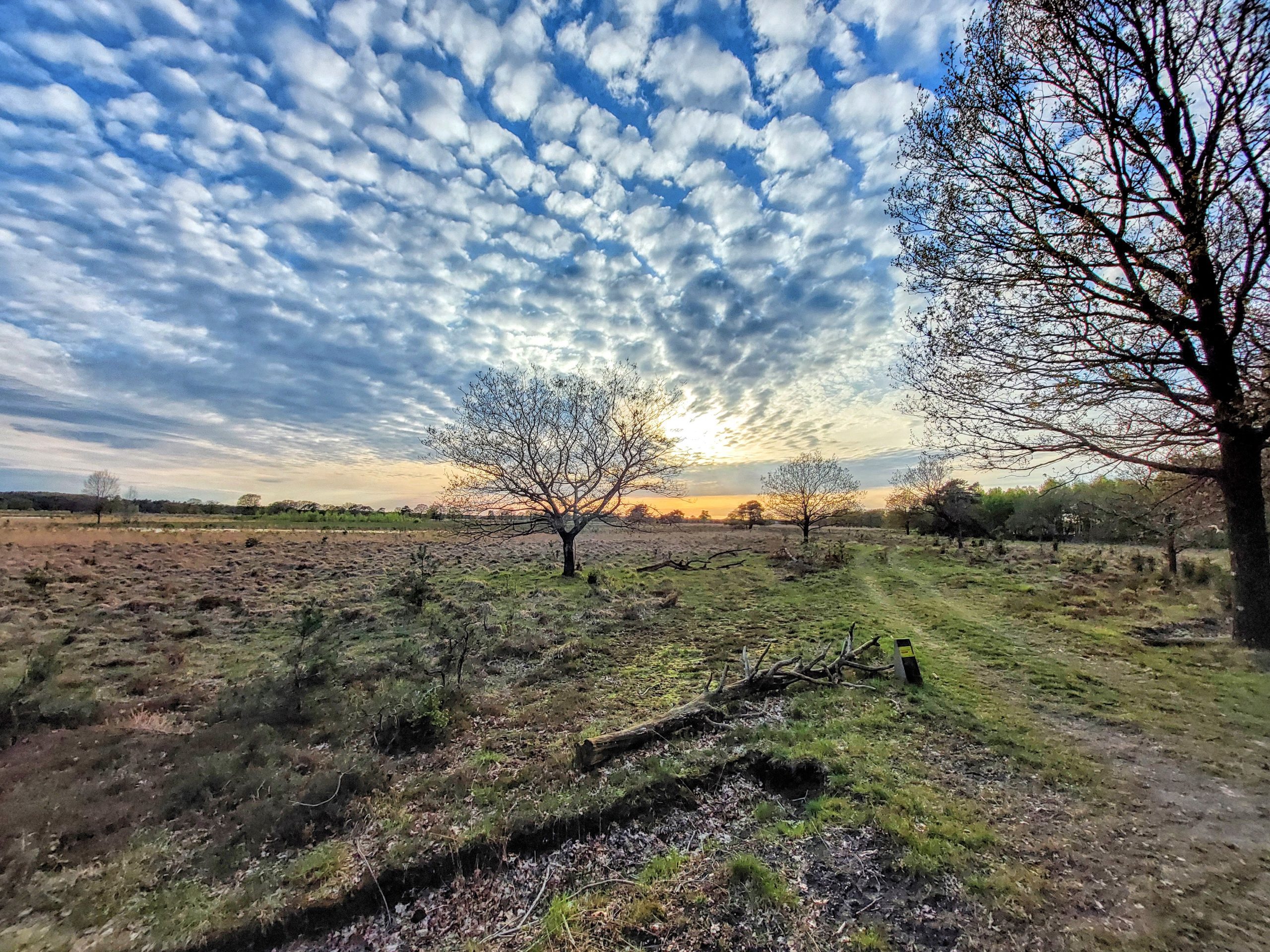 20240426_194001 Wapserveld © LH Schepers