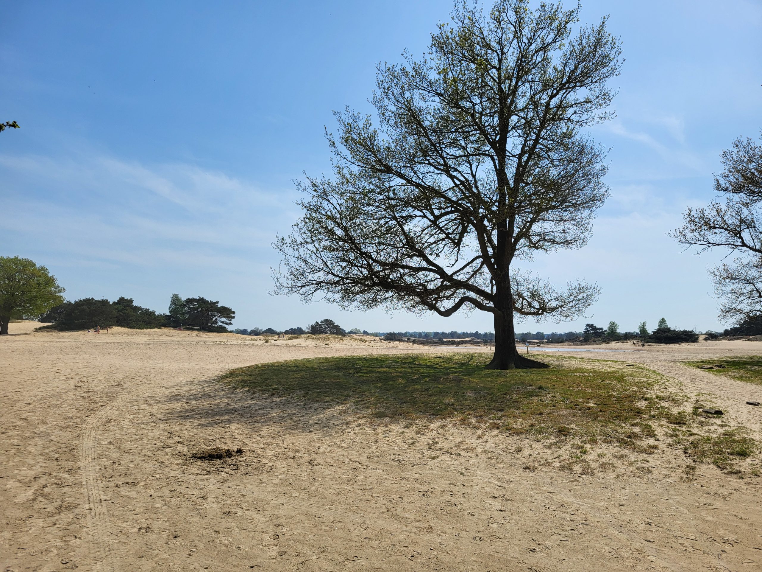  Drents-Friese Wold 