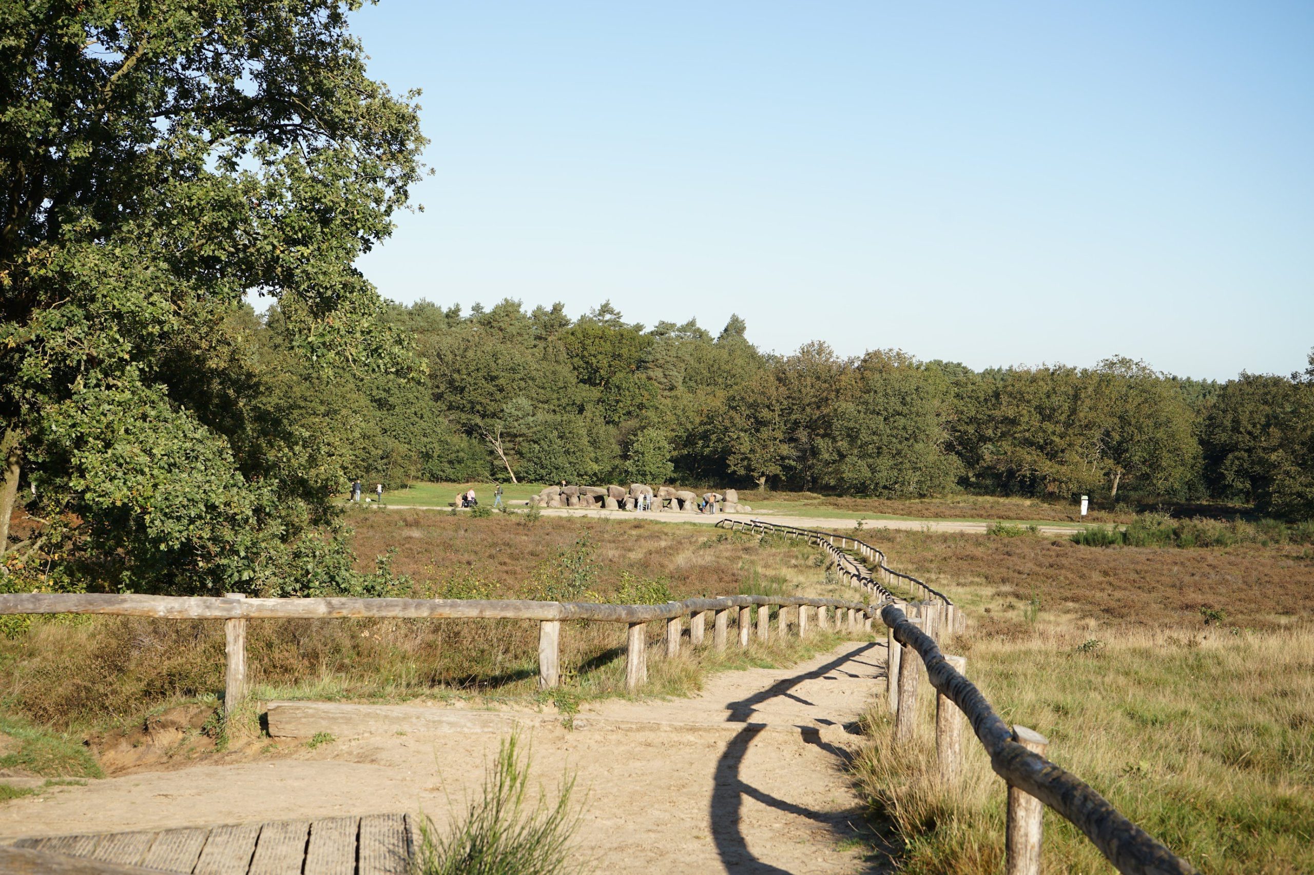 DSC0503-©-LH-Schepers