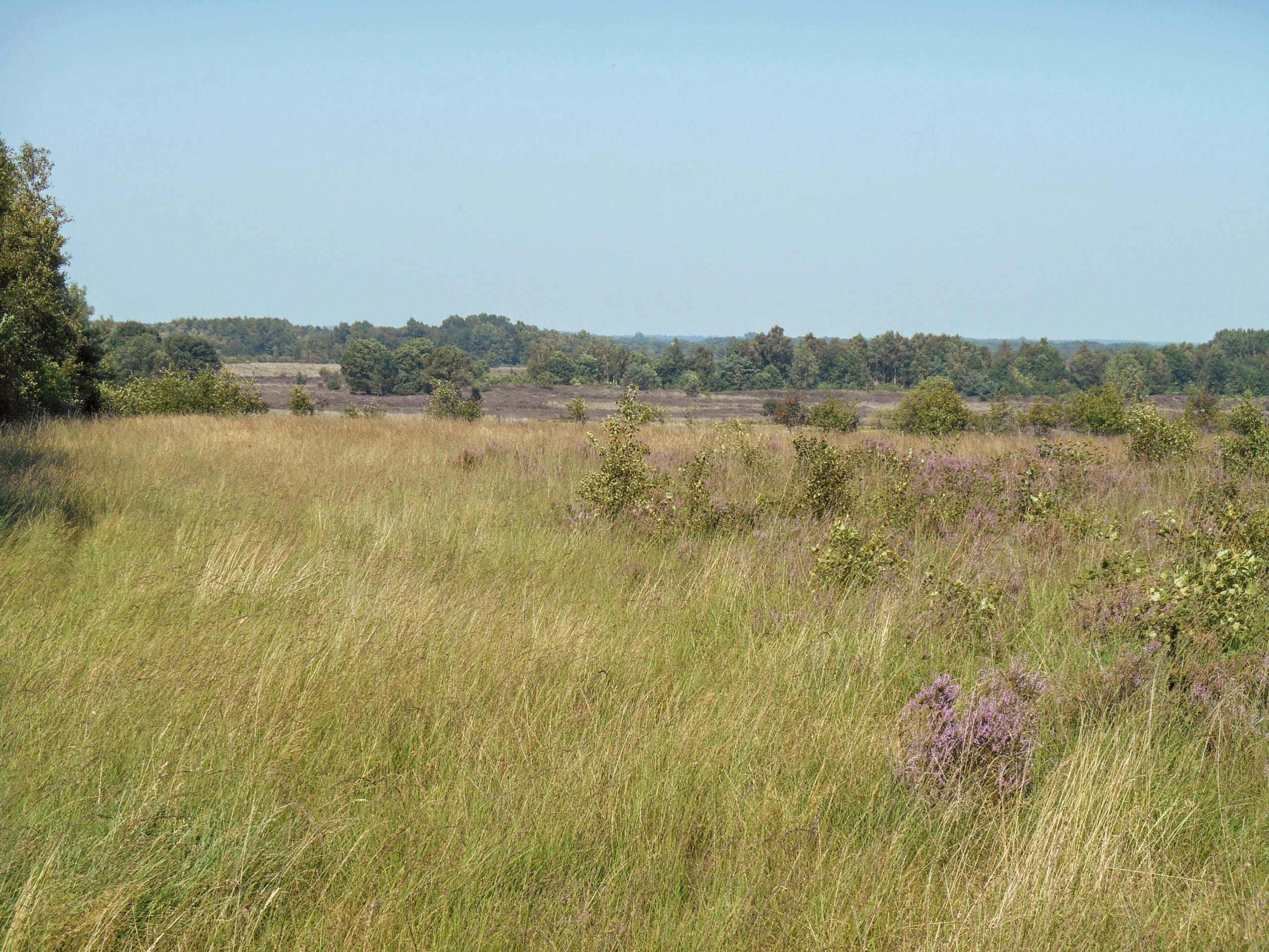 DSCN1282-Havelterberg-_oefenterrein-©-LH-Schepers