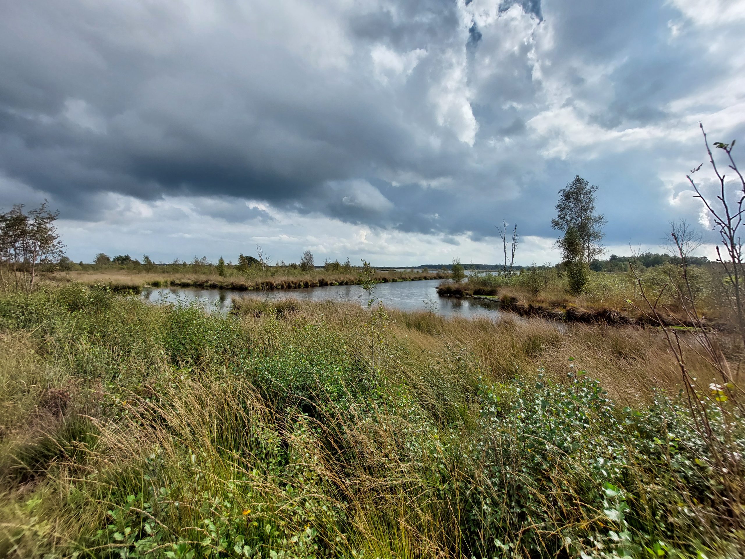 DSF41534 Fochteloërveen © LH Schepers