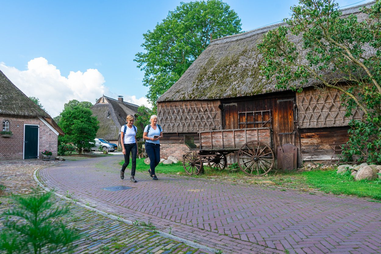 LR-Nivon-Drenthepad-138 Gees