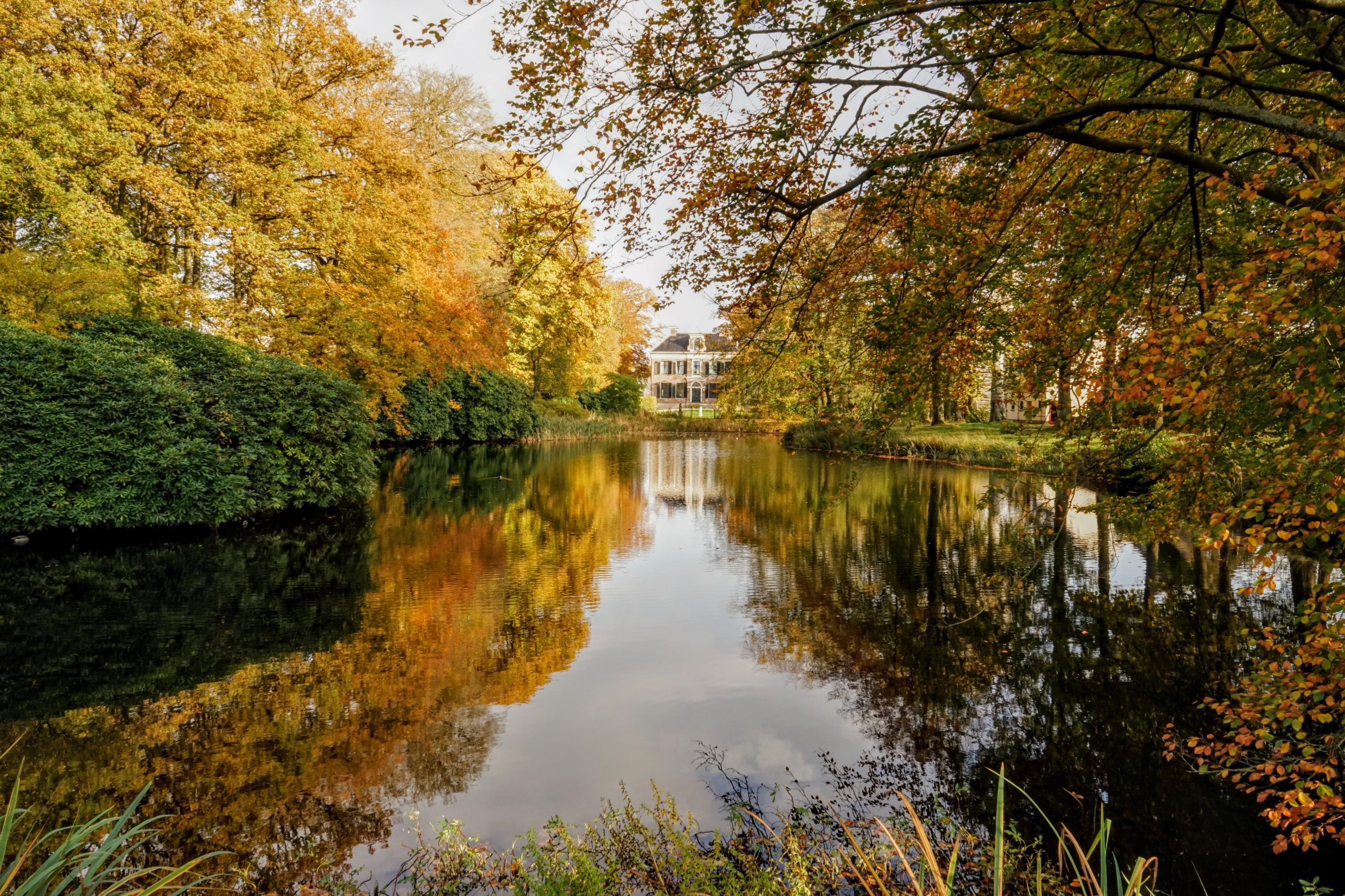 20211104_1412 DSC02351 Vennebroek © LH Schepers