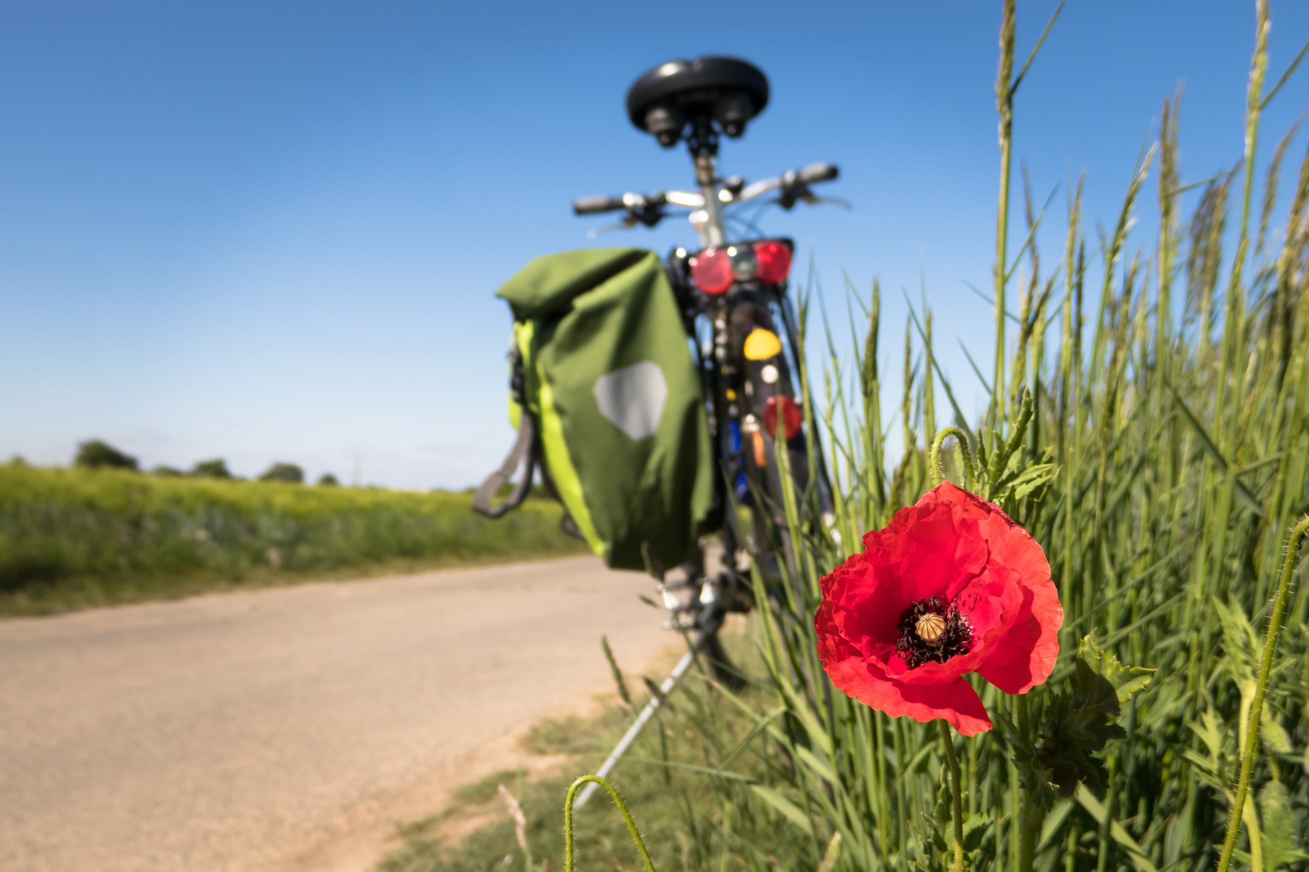 didgeman-to-go-biking-5178398
