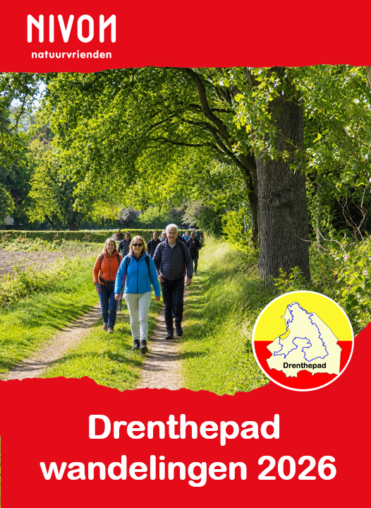 Drenthepad wandeling Beilen – Ruinen
